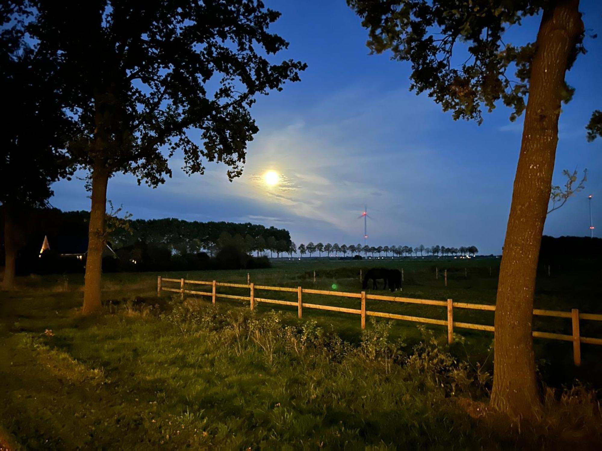 De Cordobahoeve Tweede Exloermond Экстерьер фото